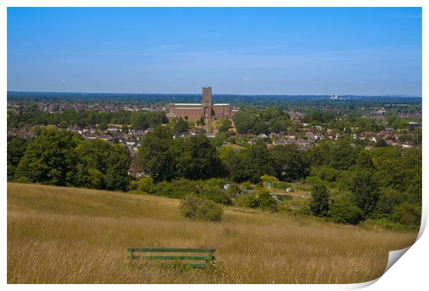 View to Guildford Cathedral Print by Philip Enticknap