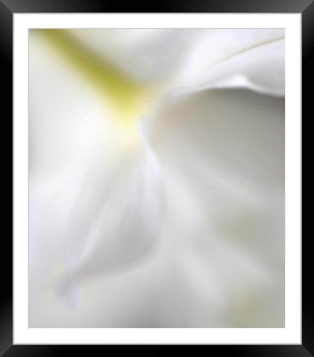 SPRING GLOW Framed Mounted Print by Tony Sharp LRPS CPAGB