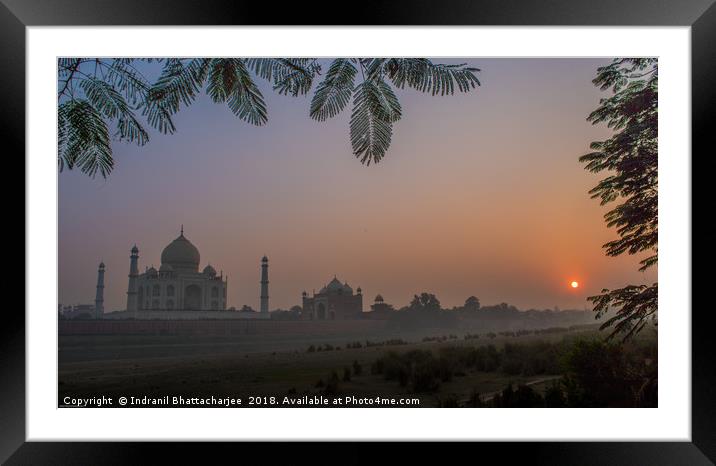 The Taj Mahal Framed Mounted Print by Indranil Bhattacharjee