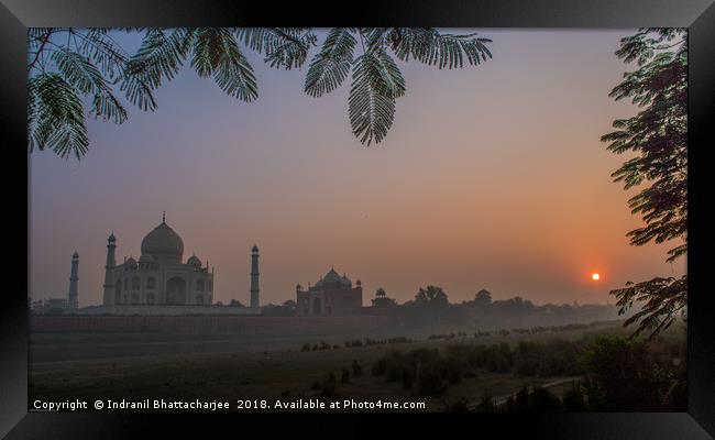 The Taj Mahal Framed Print by Indranil Bhattacharjee