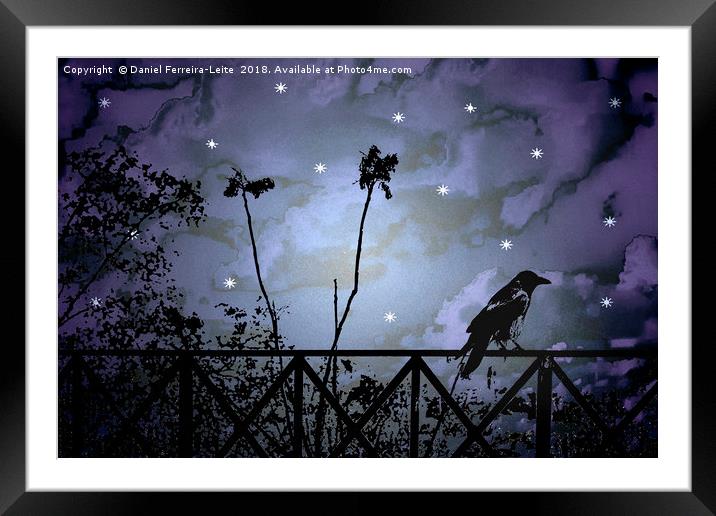 Fantasy Dark Night Scene Illustration Framed Mounted Print by Daniel Ferreira-Leite