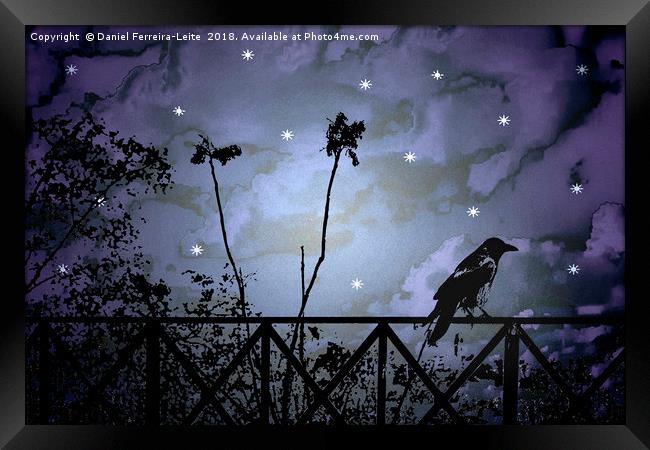 Fantasy Dark Night Scene Illustration Framed Print by Daniel Ferreira-Leite