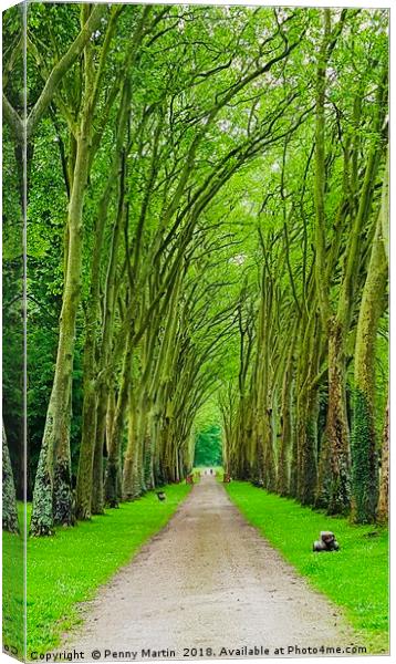 Avenue of Trees Canvas Print by Penny Martin