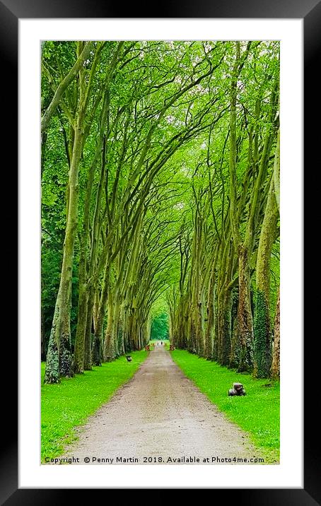 Avenue of Trees Framed Mounted Print by Penny Martin