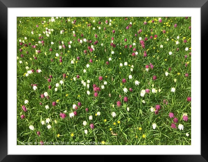 Springtime In Hampshire Framed Mounted Print by Geoff Richards