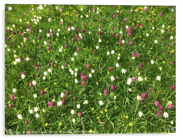 Springtime In Hampshire Acrylic by Geoff Richards