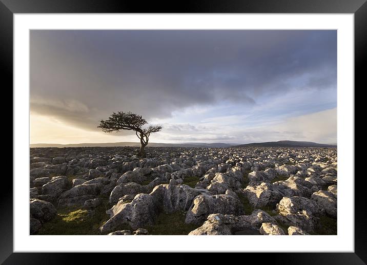 Wharfedale Isolation Framed Mounted Print by Steve Glover