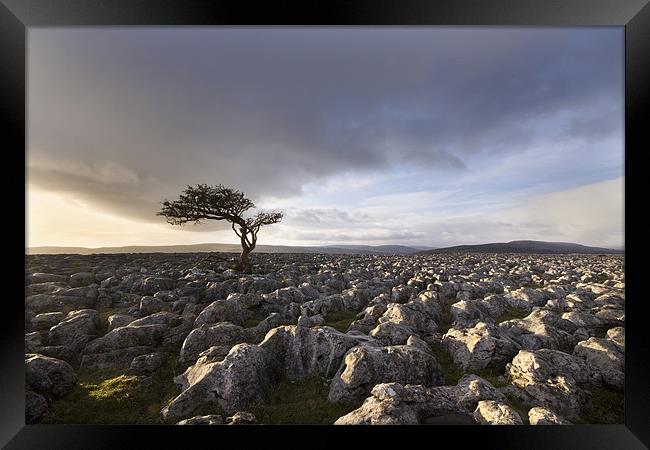 Wharfedale Isolation Framed Print by Steve Glover