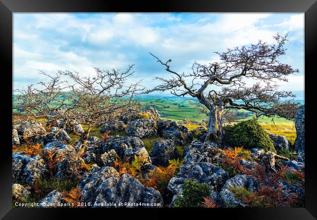 Hawthorn trees and limestone pavement Framed Print by Jon Sparks