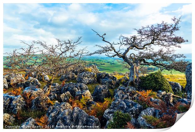Hawthorn trees and limestone pavement Print by Jon Sparks