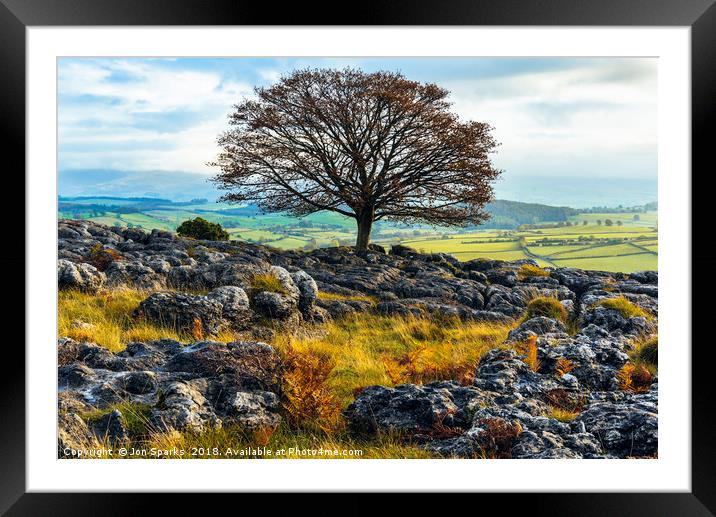 Ash tree and limestone pavement Framed Mounted Print by Jon Sparks