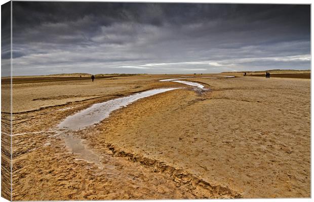 The vast sands of Holkham Canvas Print by Paul Macro
