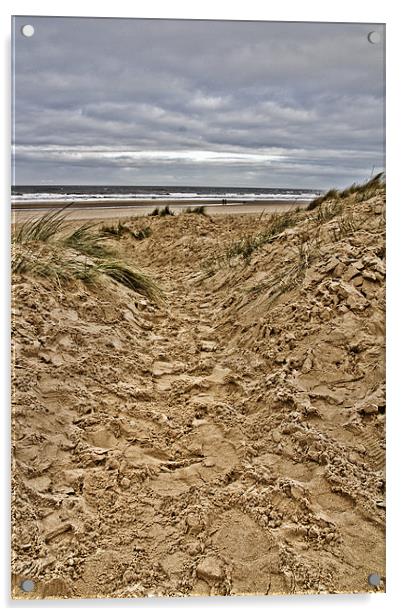 Pathway to the sea Acrylic by Paul Macro