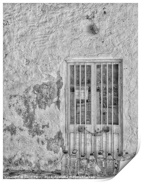 The Water Bottle Old Door Print by David Pacey
