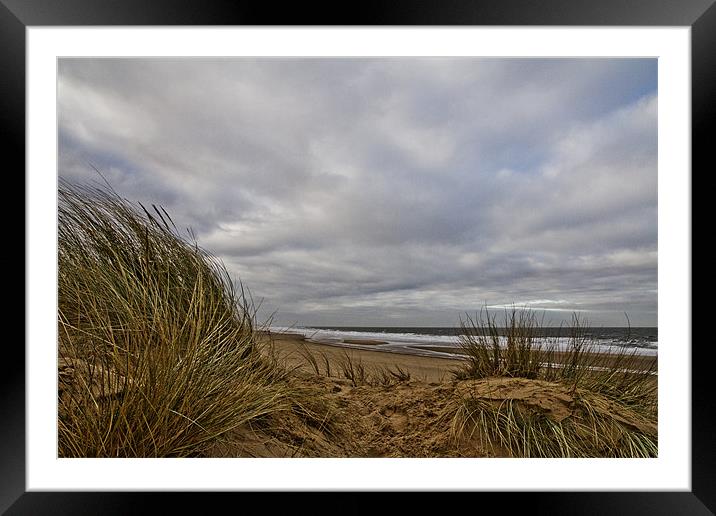 View through the Dunes Framed Mounted Print by Paul Macro