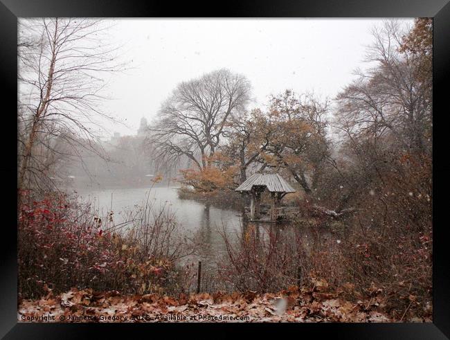 Snowy morning in Central Park Framed Print by Jannette Gregory