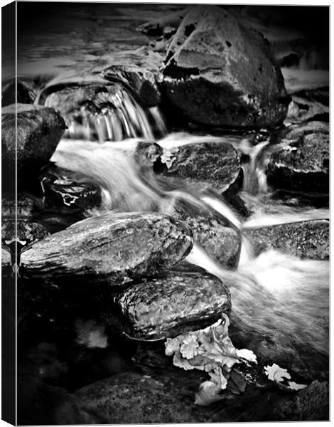 Dream A Little Stream With Me. Canvas Print by Aj’s Images