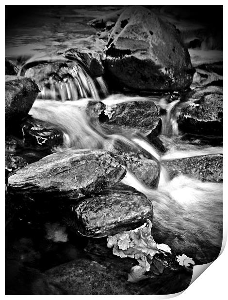 Dream A Little Stream With Me. Print by Aj’s Images
