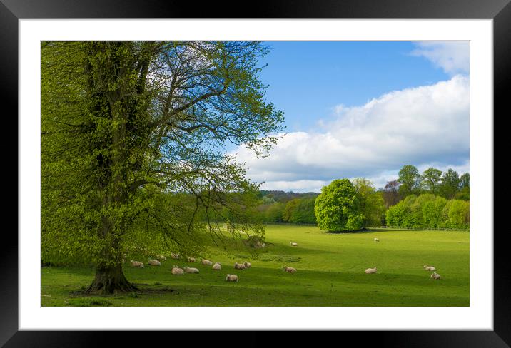 Grounds of Chawton House Library,Hampshire Framed Mounted Print by Philip Enticknap