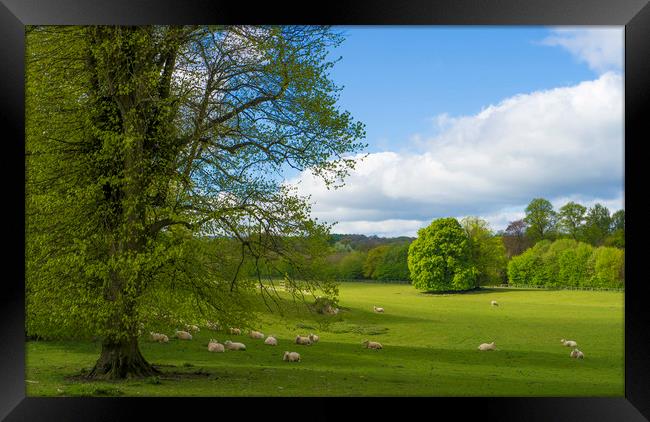 Grounds of Chawton House Library,Hampshire Framed Print by Philip Enticknap