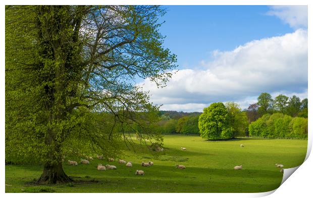 Grounds of Chawton House Library,Hampshire Print by Philip Enticknap