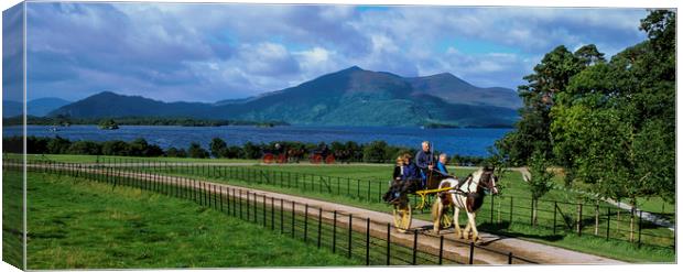 Jaunting Cart, County Kerry, Ireland  Canvas Print by Philip Enticknap