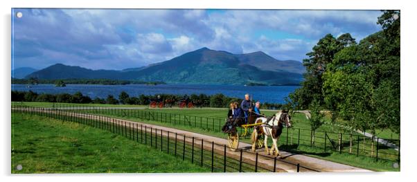 Jaunting Cart, County Kerry, Ireland  Acrylic by Philip Enticknap
