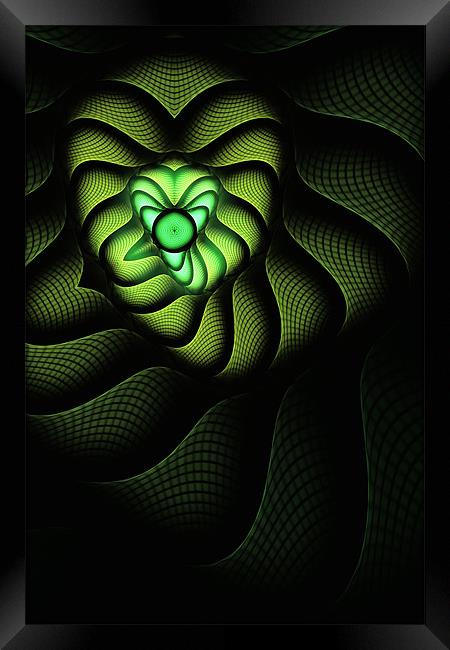 Fractal Cobra Framed Print by John Edwards