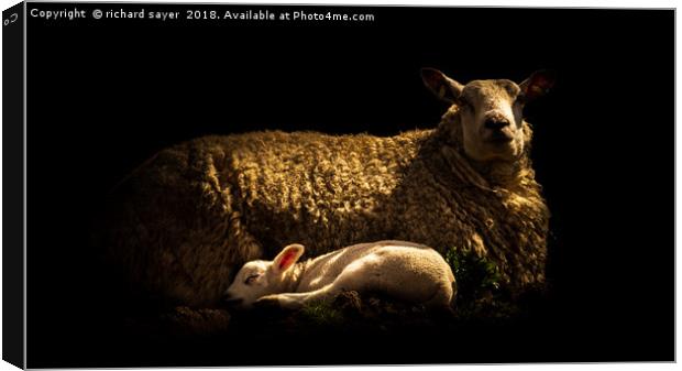 A Mothers Love Canvas Print by richard sayer