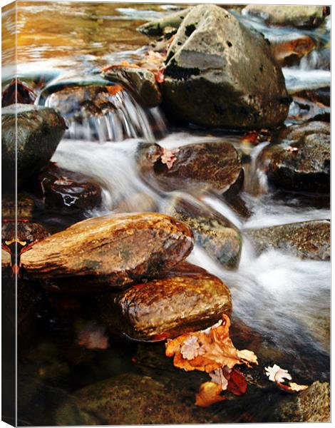 Dream A Little Stream With Me #2 Canvas Print by Aj’s Images