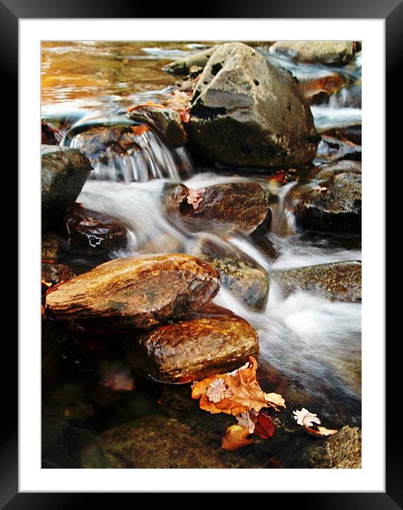 Dream A Little Stream With Me #2 Framed Mounted Print by Aj’s Images