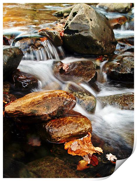 Dream A Little Stream With Me #2 Print by Aj’s Images