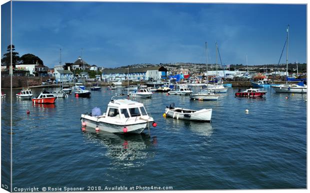Sunny day at Paignton Harbour in Torbay Canvas Print by Rosie Spooner
