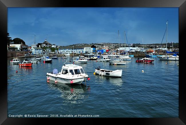 Sunny day at Paignton Harbour in Torbay Framed Print by Rosie Spooner