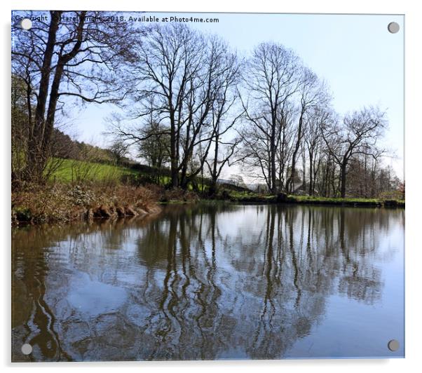 Middle Pond - Lumsdale, Derbyshire Acrylic by Hazel Wright