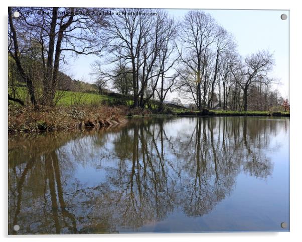 Middle Pond, Lumsdale, Derbyshire Acrylic by Hazel Wright
