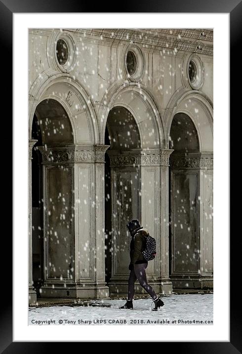 TAKING SHELTER Framed Mounted Print by Tony Sharp LRPS CPAGB