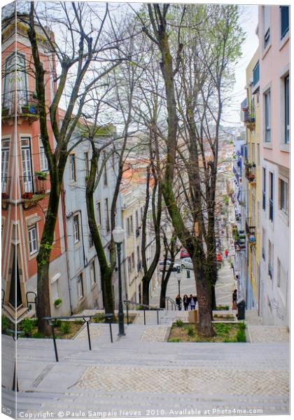 The trees that "stair" among us Canvas Print by Paulo Sampaio Neves