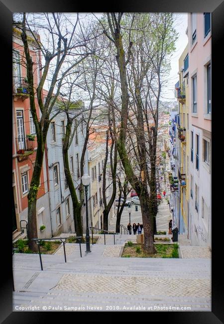 The trees that "stair" among us Framed Print by Paulo Sampaio Neves
