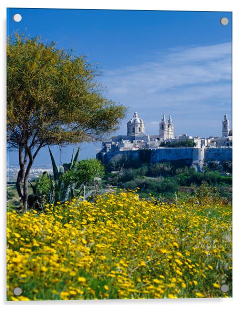 View to Mdiana, Malta Acrylic by Philip Enticknap