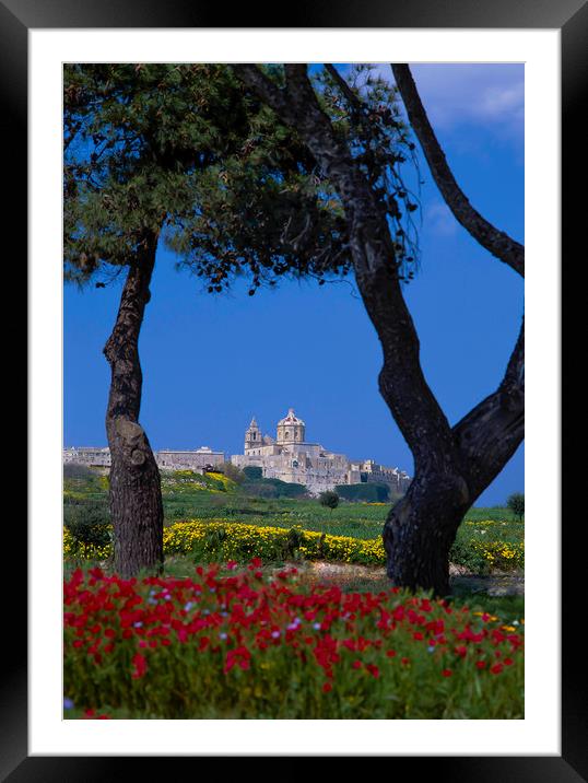 View to Mdina, Malta Framed Mounted Print by Philip Enticknap