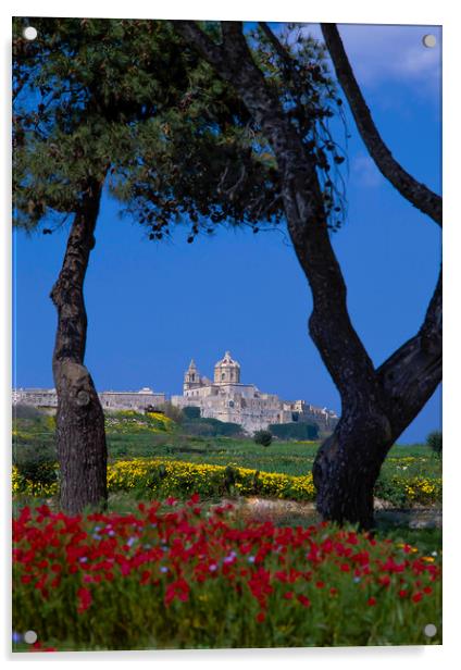 View to Mdina, Malta Acrylic by Philip Enticknap