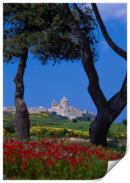 View to Mdina, Malta Print by Philip Enticknap