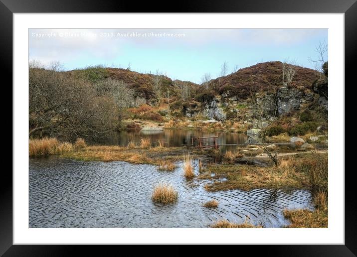 Haytor quarry Framed Mounted Print by Diana Mower