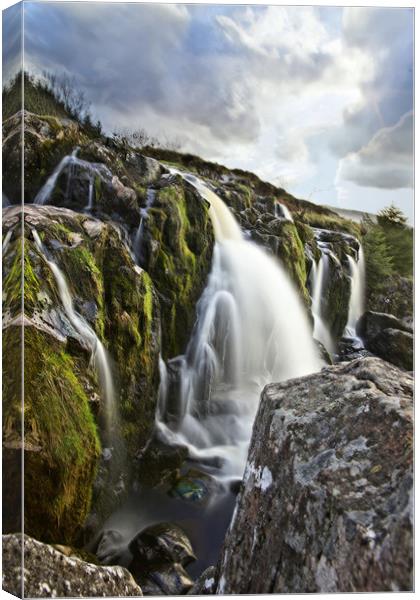 Loup of Fintry in portrait  Canvas Print by JC studios LRPS ARPS