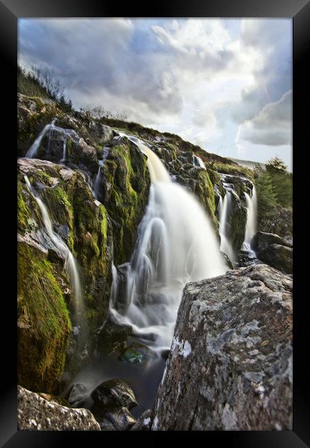 Loup of Fintry in portrait  Framed Print by JC studios LRPS ARPS