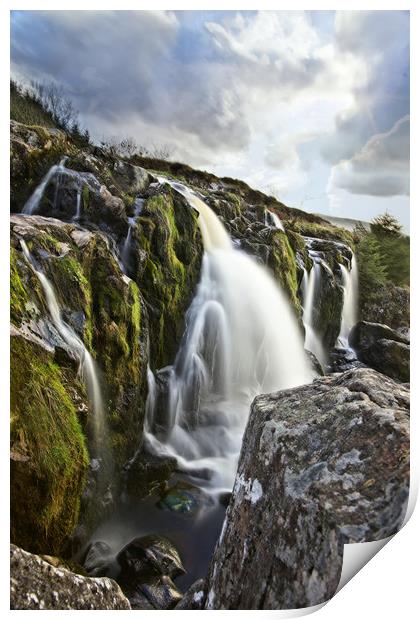 Loup of Fintry in portrait  Print by JC studios LRPS ARPS