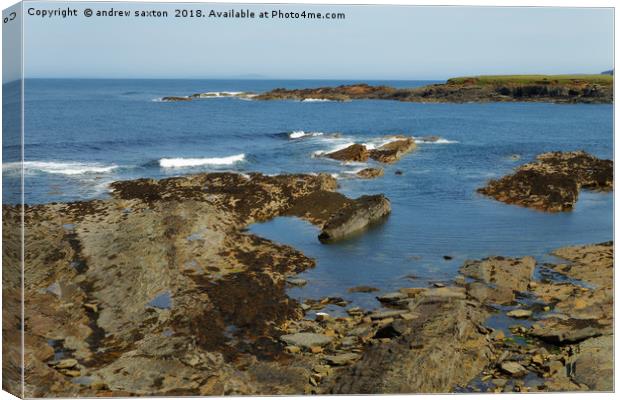 ROCKY SEA Canvas Print by andrew saxton