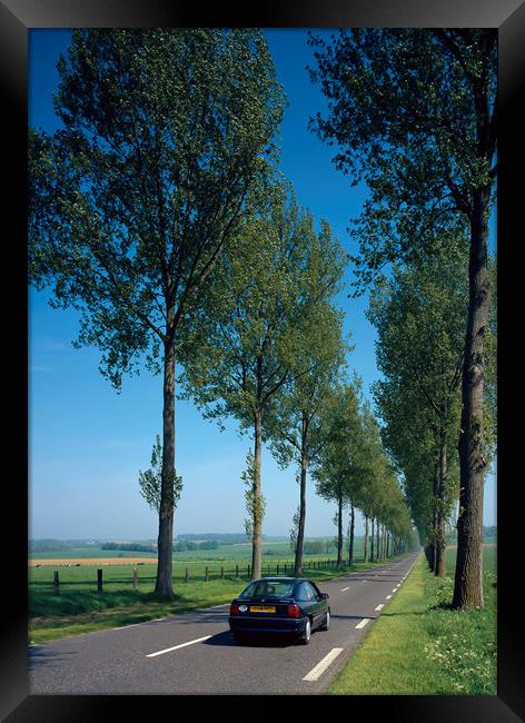 British car on French Road  Framed Print by Philip Enticknap