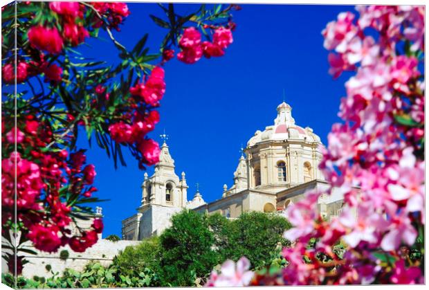 Cathedral of St Paul, Mdina Malta. Canvas Print by Philip Enticknap